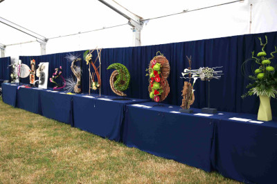 Entries in Stark Contrast class at the 2023 Royal Cheshire Show, incorporating the Cheshire Area Show in the Theatre of Flowers